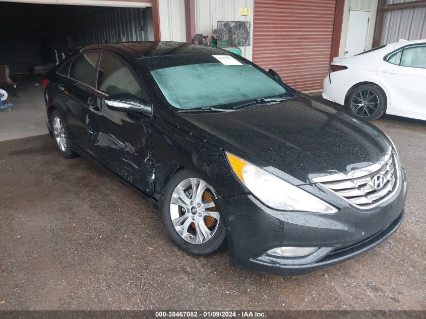 Lot #2541533056 2013 HYUNDAI SONATA LIMITED salvage car