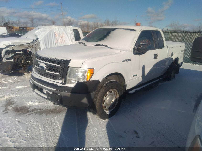 1FTFX1ET2DKE41475 | 2013 FORD F-150