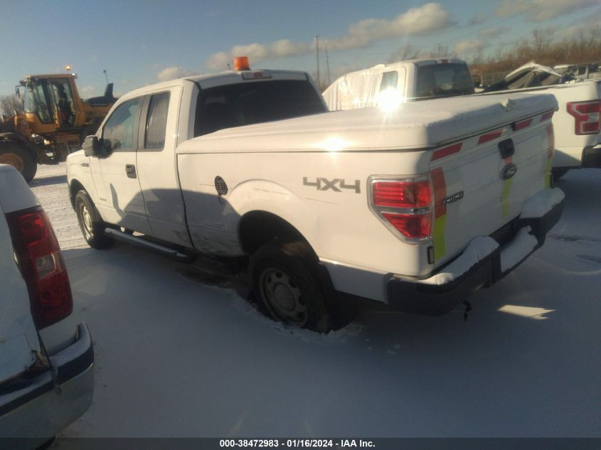 1FTFX1ET2DKE41475 | 2013 FORD F-150