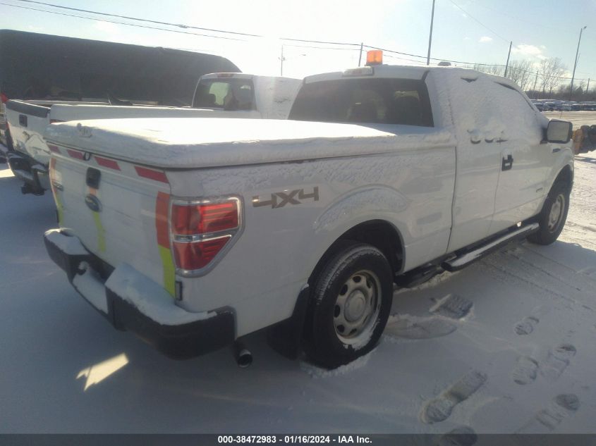 1FTFX1ET2DKE41475 | 2013 FORD F-150