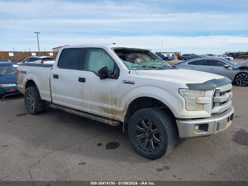 2015 FORD F-150 XLT - 1FTFW1EF8FKE25569