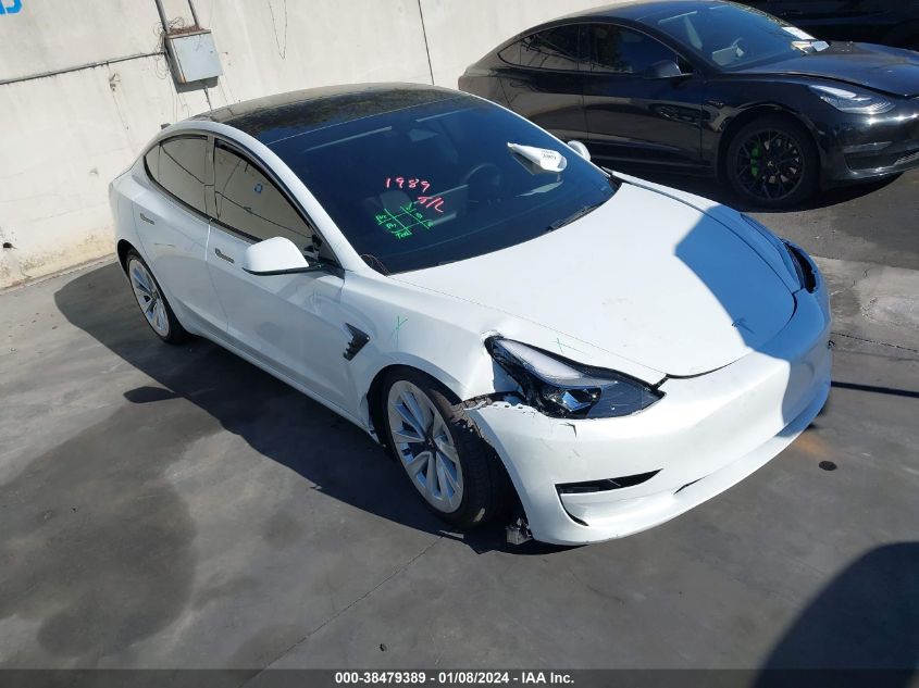 2023 TESLA MODEL 3 REAR-WHEEL DRIVE - 5YJ3E1EA7PF541855