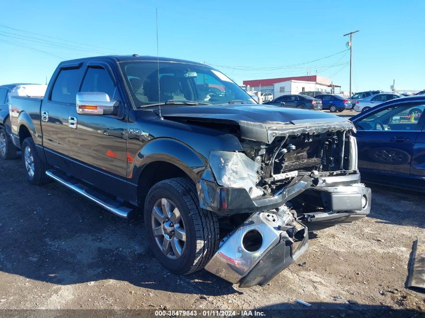 2013 FORD F-150 XLT - 1FTFW1CFXDFB33849