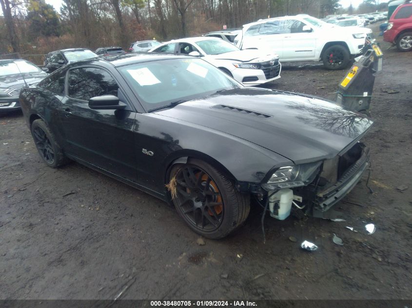 2013 FORD MUSTANG GT - 1ZVBP8CF5D5248186