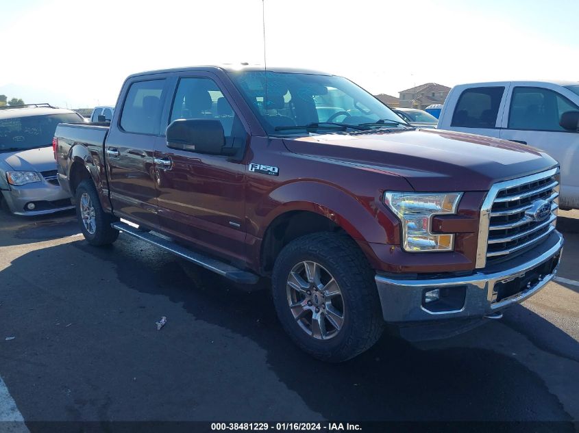 2015 FORD F-150 XLT - 1FTEW1EG5FKE86978