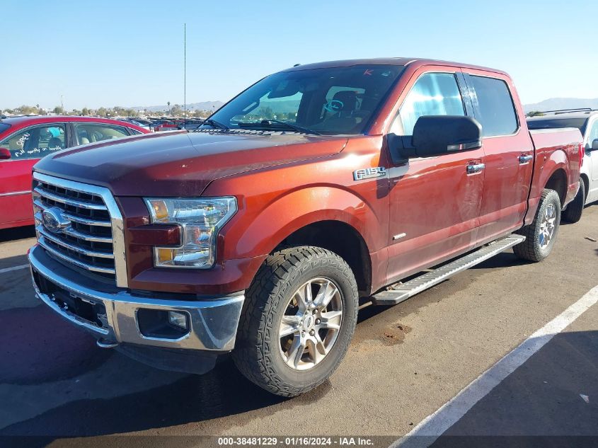 2015 FORD F-150 XLT - 1FTEW1EG5FKE86978