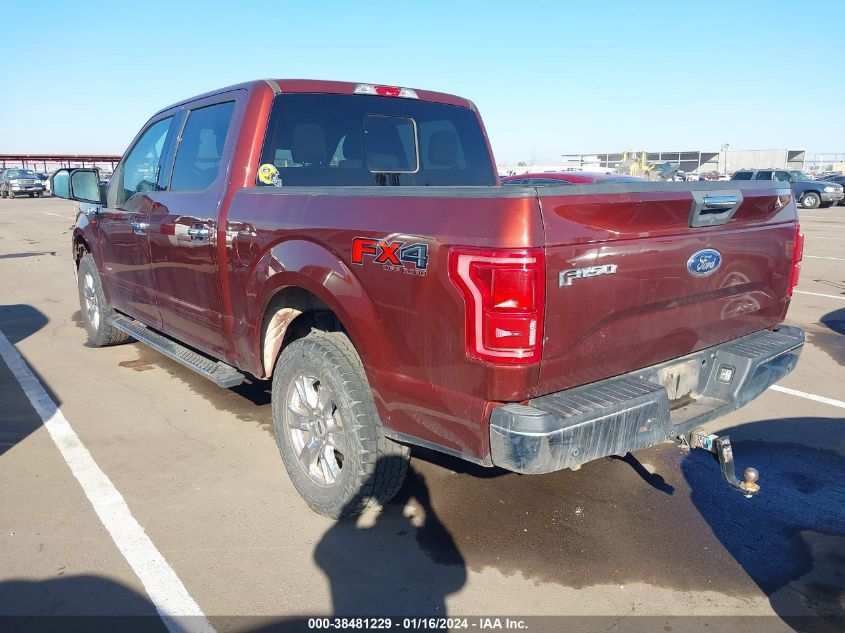 2015 FORD F-150 XLT - 1FTEW1EG5FKE86978