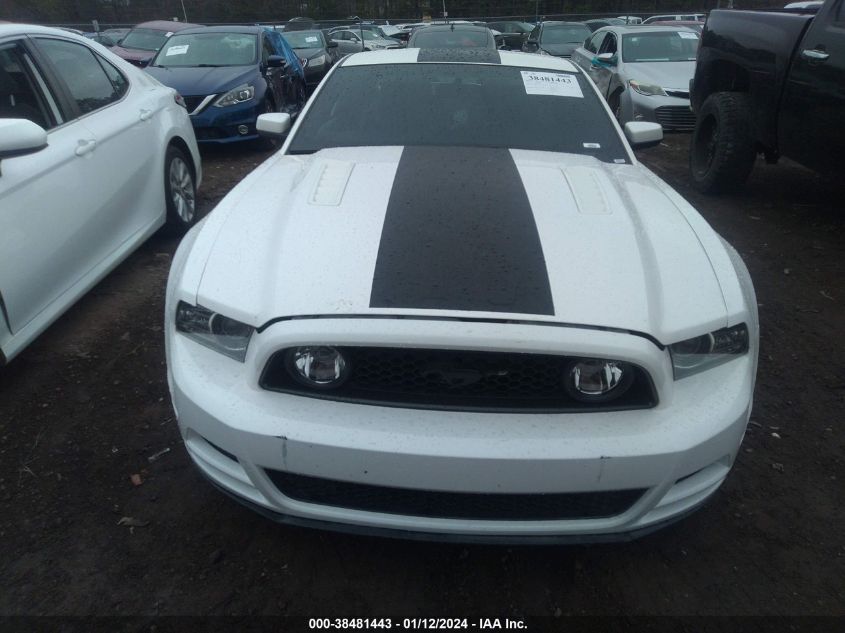 2013 FORD MUSTANG GT - 1ZVBP8CF6D5202236