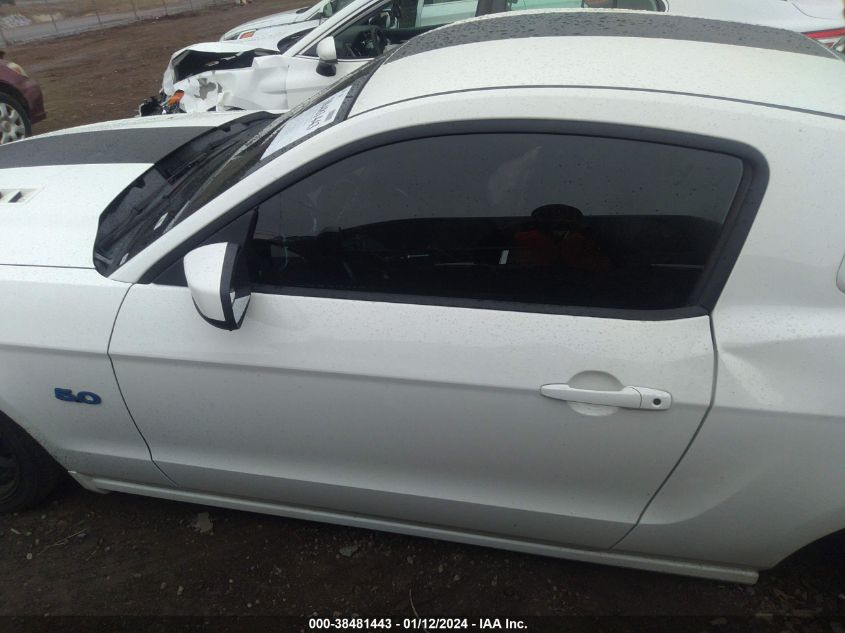 2013 FORD MUSTANG GT - 1ZVBP8CF6D5202236