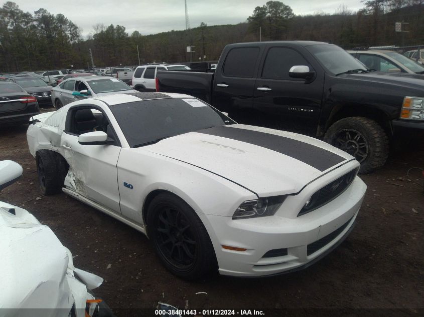 2013 FORD MUSTANG GT - 1ZVBP8CF6D5202236