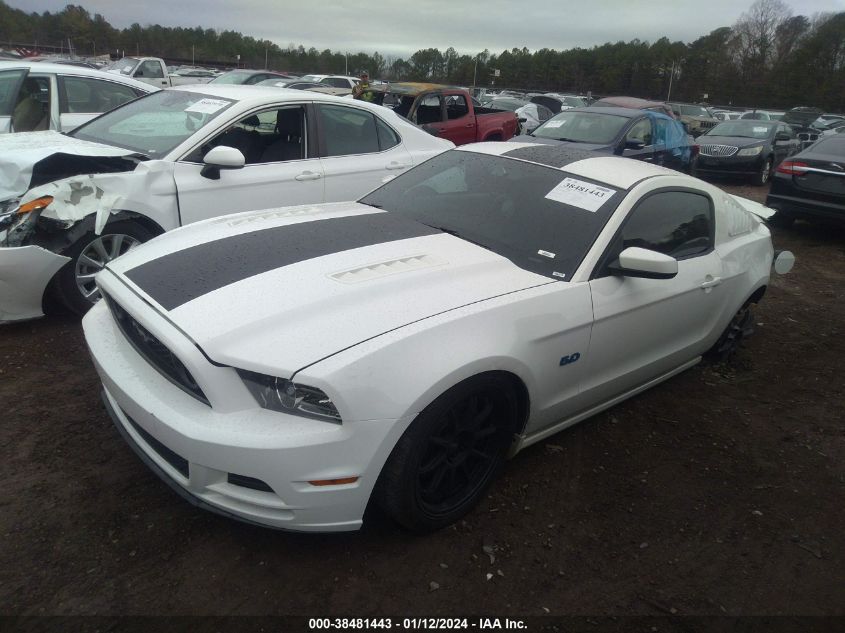 2013 FORD MUSTANG GT - 1ZVBP8CF6D5202236