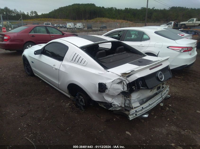 2013 FORD MUSTANG GT - 1ZVBP8CF6D5202236