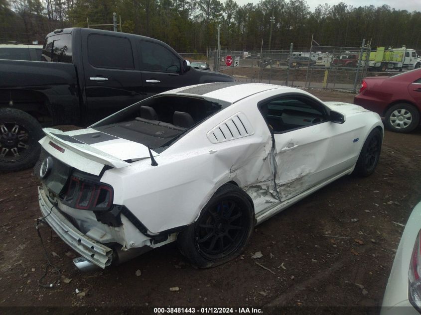 2013 FORD MUSTANG GT - 1ZVBP8CF6D5202236