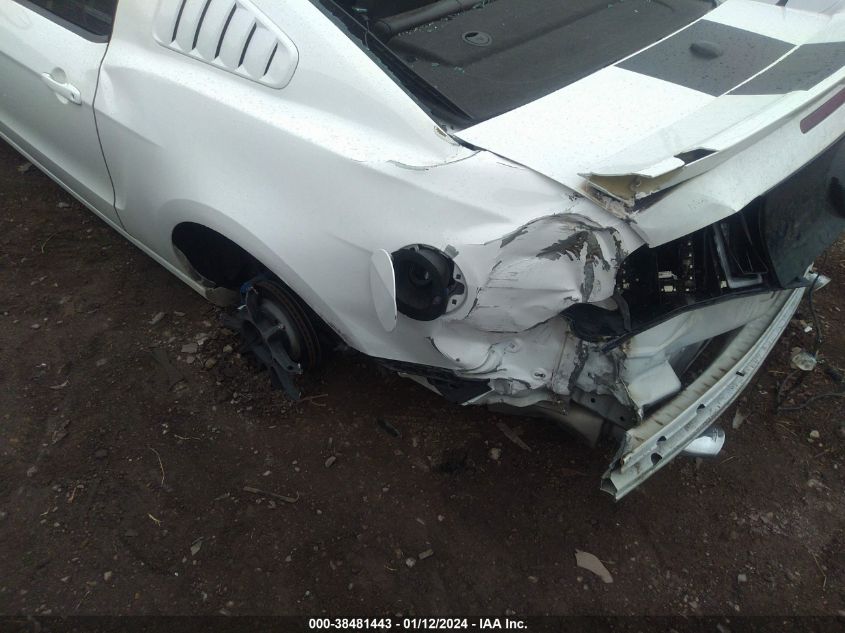 2013 FORD MUSTANG GT - 1ZVBP8CF6D5202236