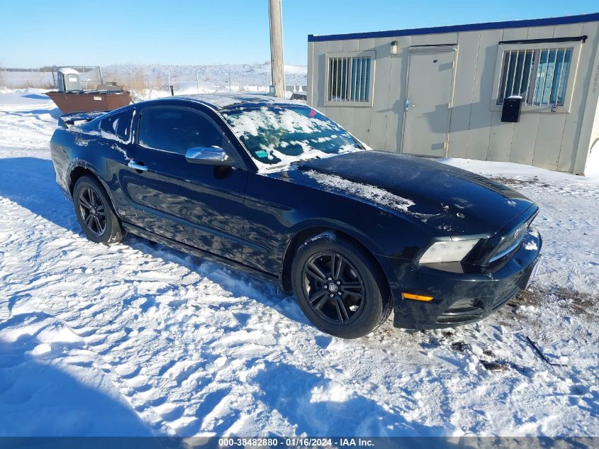 2014 FORD MUSTANG V6 - 1ZVBP8AMXE5280831