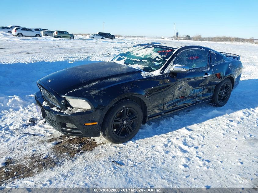 2014 FORD MUSTANG V6 - 1ZVBP8AMXE5280831