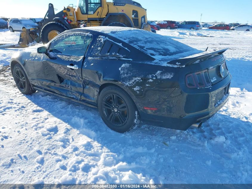 2014 FORD MUSTANG V6 - 1ZVBP8AMXE5280831