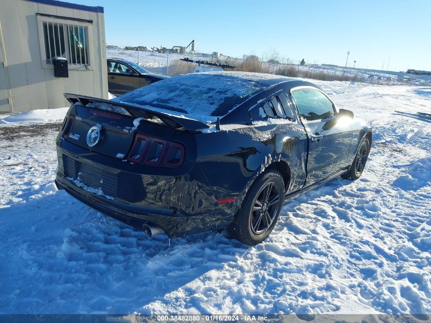 2014 FORD MUSTANG V6 - 1ZVBP8AMXE5280831