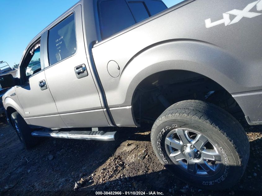 2014 FORD F-150 XLT - 1FTFW1ET6EKE19046