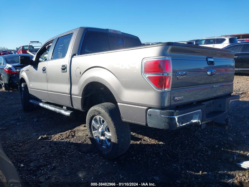 2014 FORD F-150 XLT - 1FTFW1ET6EKE19046