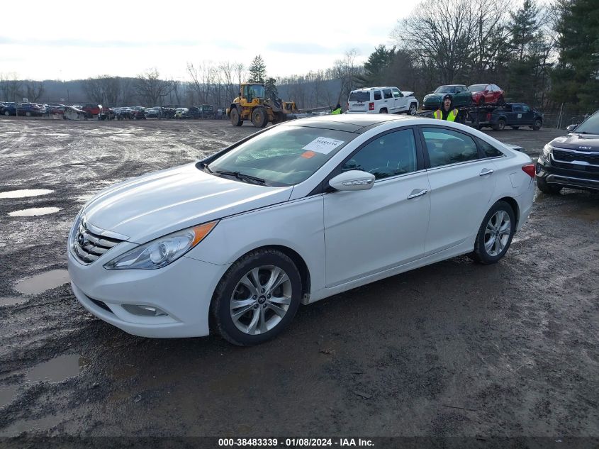 2013 HYUNDAI SONATA LIMITED - 5NPEC4AC7DH516961