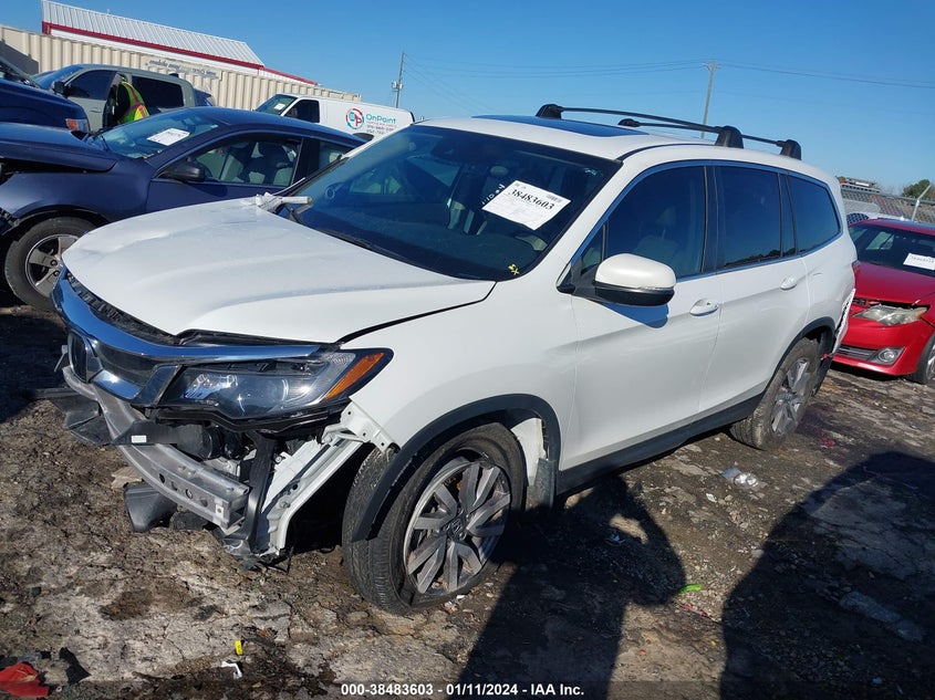 VIN 5FNYF5H59MB005381 2021 HONDA PILOT EXL