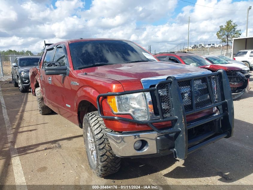 2014 FORD F-150 XLT - 1FTFW1ETXEKD37367