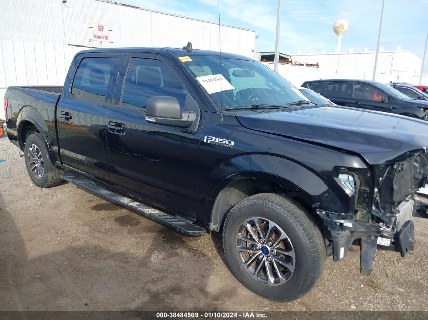 2019 FORD F-150 XLT - 1FTEW1CP1KKD25752