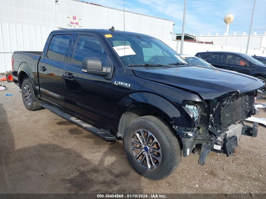 2019 FORD F-150 XLT - 1FTEW1CP1KKD25752