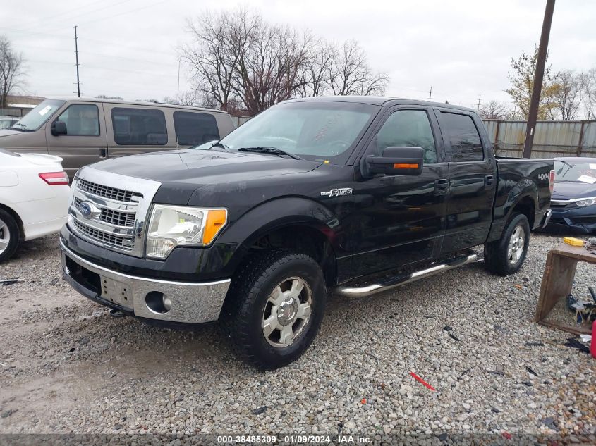 2013 FORD F-150 XLT - 1FTFW1EF7DFB53795