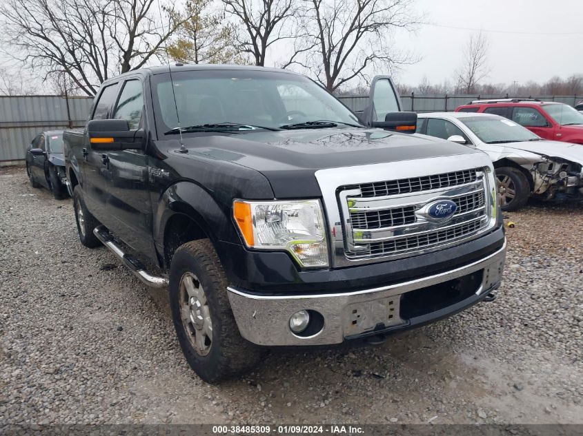 2013 FORD F-150 XLT - 1FTFW1EF7DFB53795