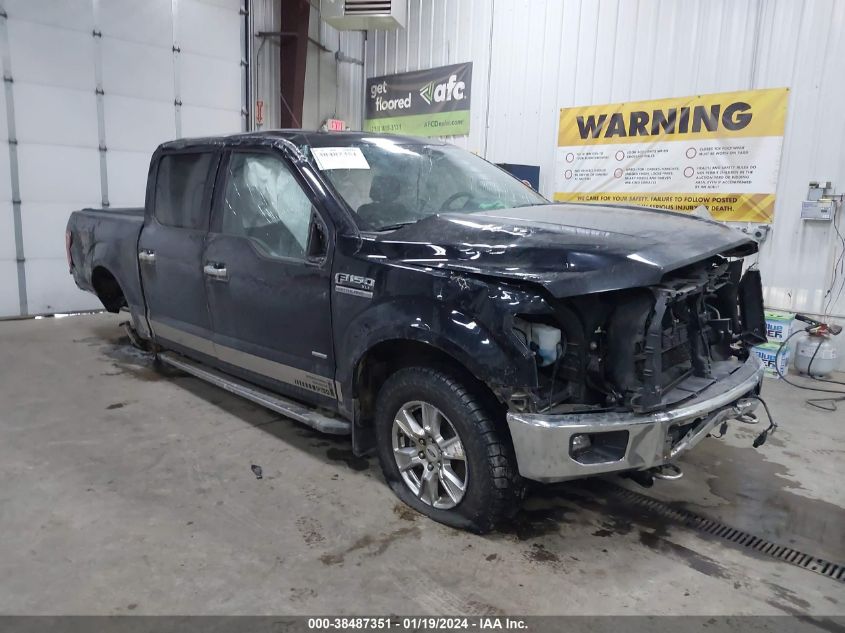 2016 FORD F-150 XLT - 1FTEW1EPXGKE74102