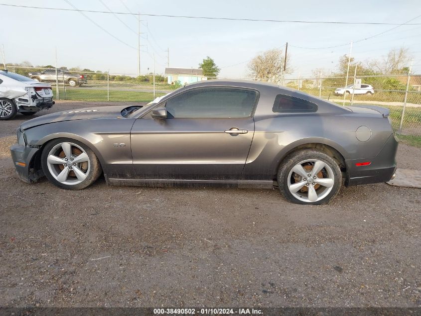 2014 FORD MUSTANG GT - 1ZVBP8CF2E5316025