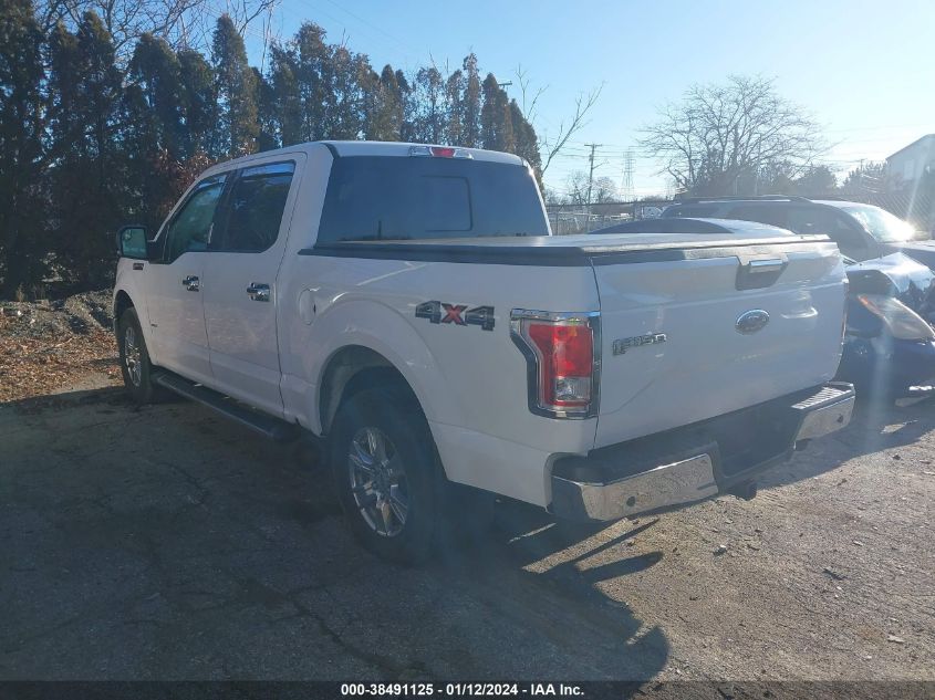 2017 FORD F-150 XLT - 1FTEW1EP7HFA22943