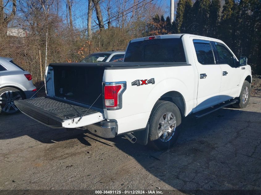 2017 FORD F-150 XLT - 1FTEW1EP7HFA22943