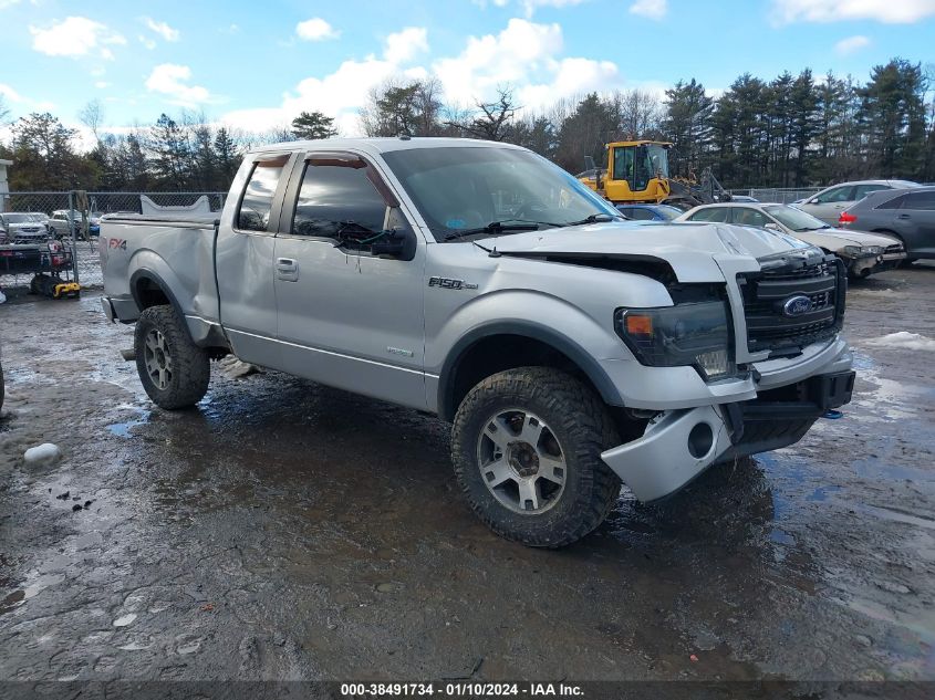 2013 FORD F-150 FX4 - 1FTFX1ET3DFB05553