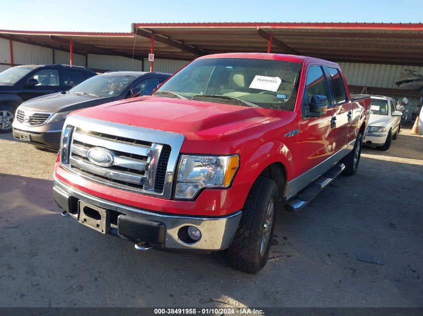 1FTRW14829FA91374 | 2009 FORD F-150