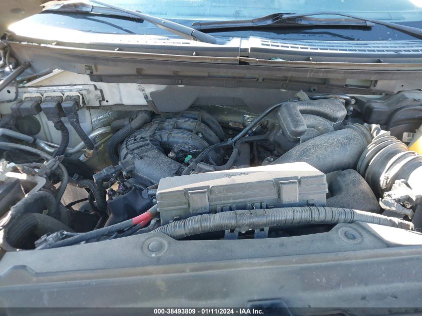 2014 FORD F-150 XL - 1FTMF1EM9EFA25484
