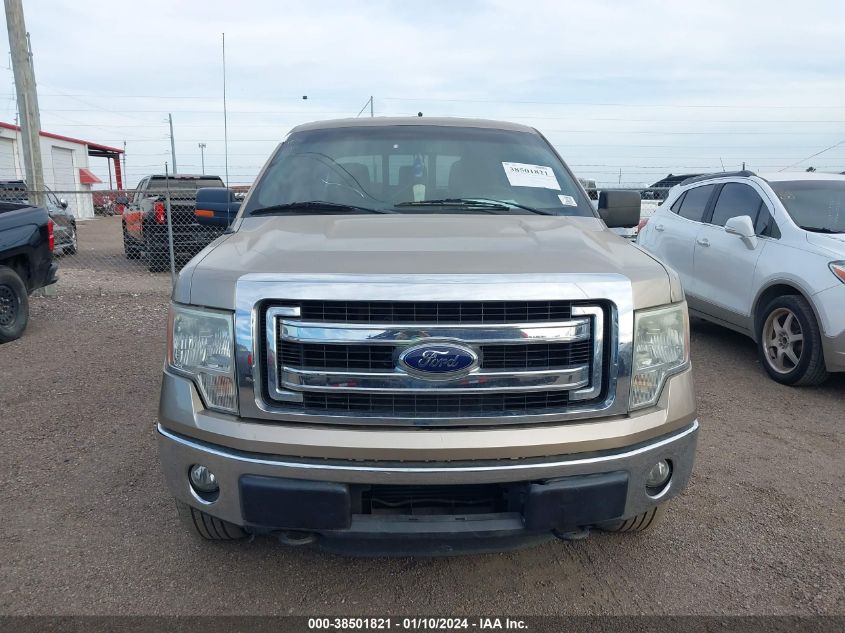 1FTFW1ET7DKE12623 | 2013 FORD F-150