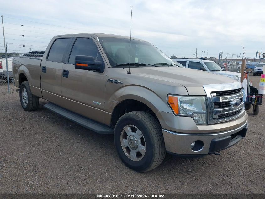 1FTFW1ET7DKE12623 | 2013 FORD F-150