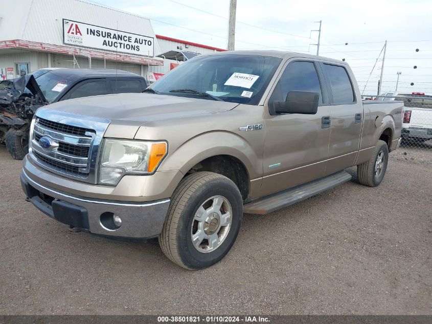 1FTFW1ET7DKE12623 | 2013 FORD F-150