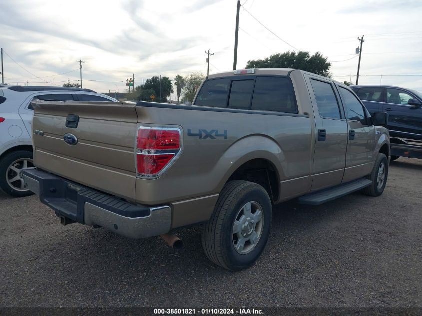 1FTFW1ET7DKE12623 | 2013 FORD F-150