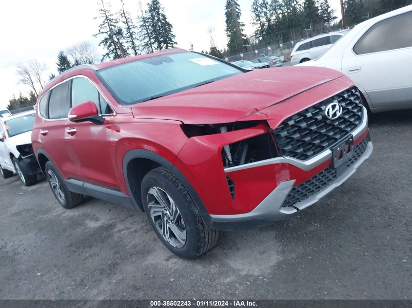 2023 HYUNDAI SANTA FE SEL - 5NMS2DAJ5PH550418