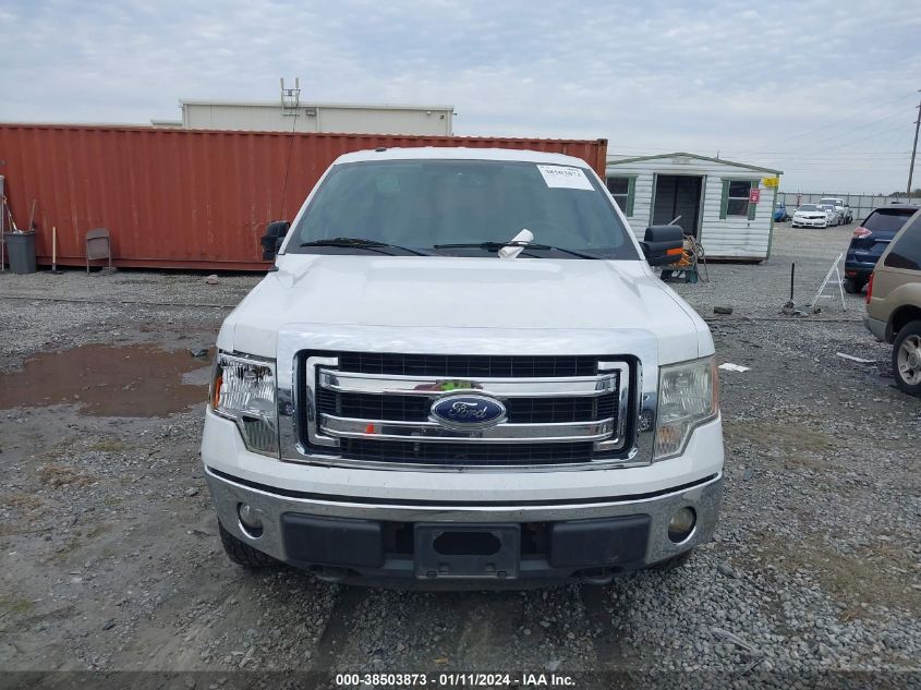 2014 FORD F-150 XLT - 1FTFX1EF8EFB55876