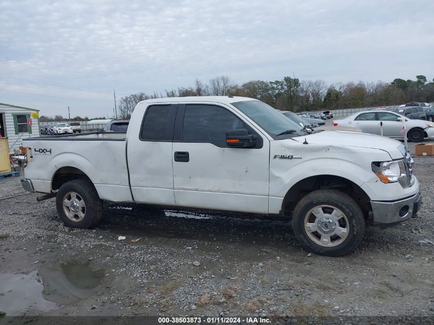 2014 FORD F-150 XLT - 1FTFX1EF8EFB55876