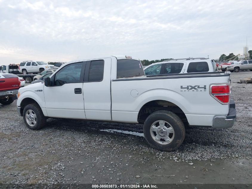 2014 FORD F-150 XLT - 1FTFX1EF8EFB55876