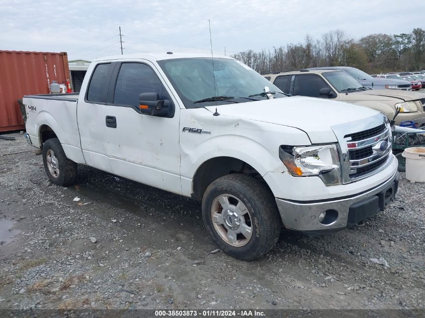 2014 FORD F-150 XLT - 1FTFX1EF8EFB55876