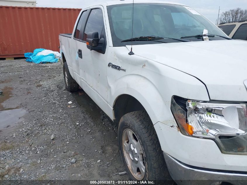 2014 FORD F-150 XLT - 1FTFX1EF8EFB55876