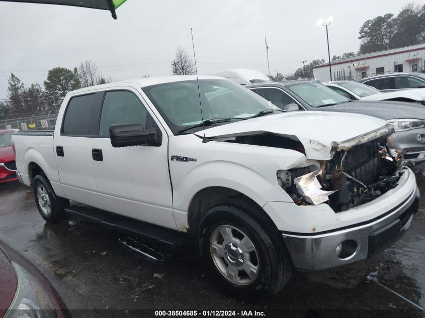 2013 FORD F-150 XLT - 1FTFW1CF2DKG21507