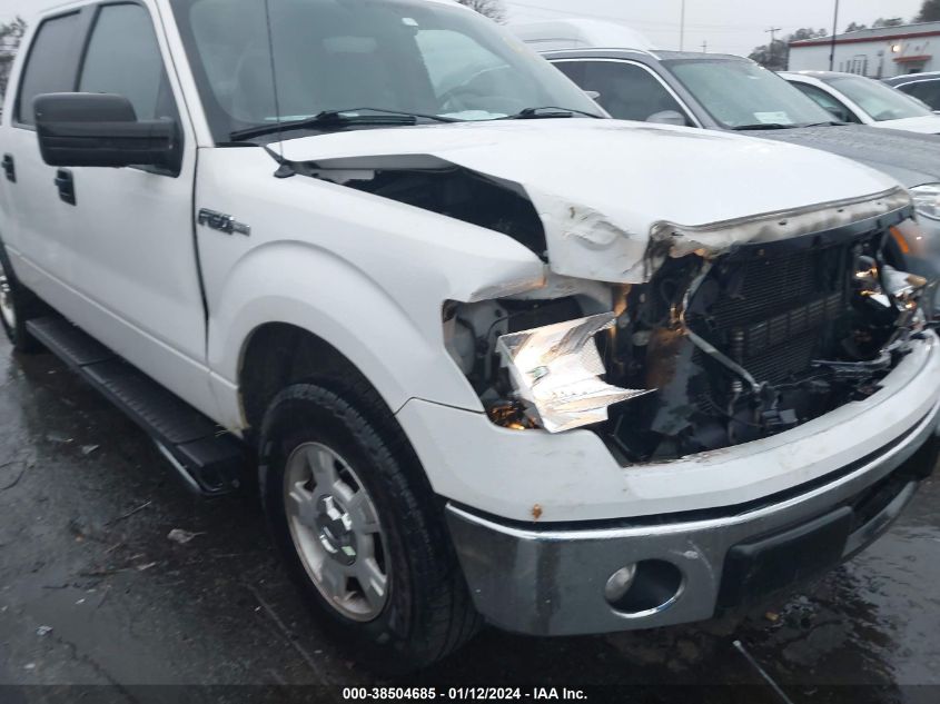 2013 FORD F-150 XLT - 1FTFW1CF2DKG21507